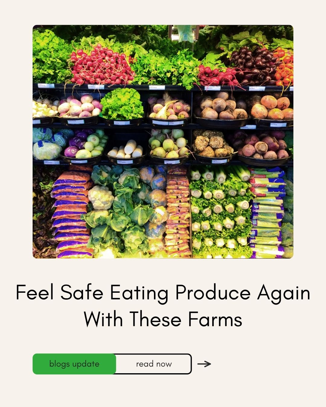 Feel Safe Eating Produce Again With These Farms